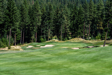 Golf course fairway, sand traps, and green, with evergreen trees in background

