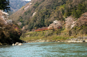 トロッコ列車が走る山の風景