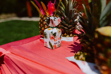 Decorated table with pineapple cocktails to celebrate a bachelorette party in a beautiful garden. The girls are having a party