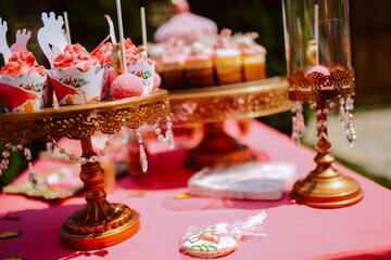 Cute pink table for a summer party in the yard. Pink cakes and treats on the table