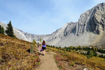 Fototapeta premium A mother and daugher hiking a beautiful trail above the treeline with a huge mountain in the background during a sunny day in autumn, along the Ptarmigan Cirque trail in Kananaskis, Alberta, Canada