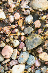 Abstract Texture Consisted of Wet Stones.