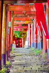 Japan Traveling. Traditional Red Torii Gates with Walkway at Koyasan Mountain Shrine in Japan in Fall.