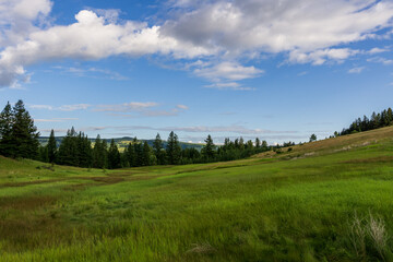 Fototapeta na wymiar a hill covered with lush green grass under a blue sky with clouds in British Columbia Canada