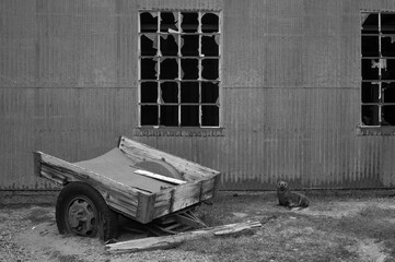 Abandoned Whaling Station, South Georgia Island, Antarctica