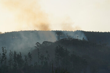 Forest fire disaster in Monte Alegre do Sul, Sao Paulo, Brazil. 5 September 2020