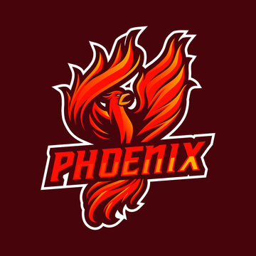 Phoenix mascot logo design illustration