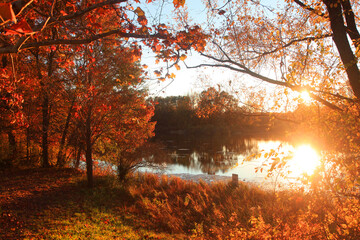 Fototapeta na wymiar Autumn trees by lake during sun set 