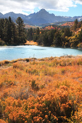 Colorful autumn bushes and grass by the small pond in San Juan mountains ,Colorado
