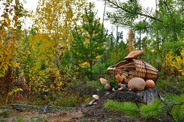 A basket of mushrooms and berries on a stump in the autumn forest.
