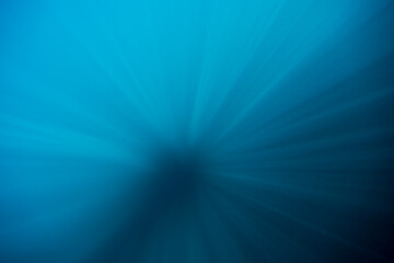 Underwater View, Peninsula Valdes, Patagonia