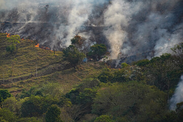 Forest fire disaster in Monte Alegre do Sul, Sao Paulo, Brazil. 8 September-2020
