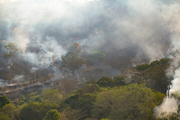 Fototapeta premium Forest fire disaster in Monte Alegre do Sul, Sao Paulo, Brazil. 8 September-2020