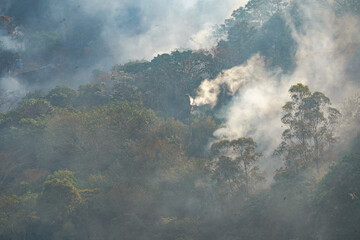Fototapeta premium Forest fire disaster in Monte Alegre do Sul, Sao Paulo, Brazil. 8 September-2020
