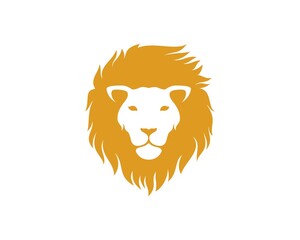 Luxury gold lion head