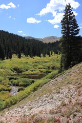 Up the valley towards Searle Pass in the Rocky Mountains of Colorado