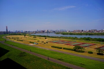 Fototapeta na wymiar 晴れた日に淀川から大阪の市街地を見た光景