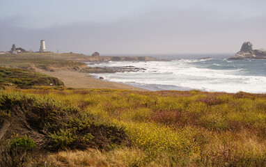 Lighthouse and flower fields