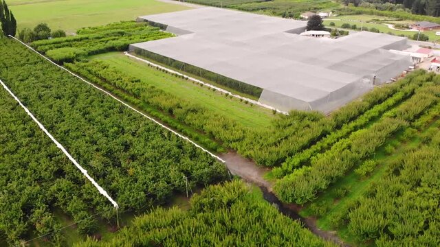 Aerial at an organic fruit plantation with variety of plants in different stages