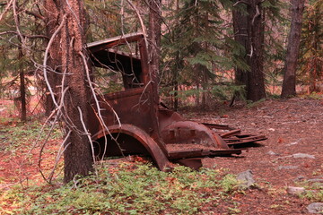 Abandoned leftovers of a rusted out antique car left in the forest