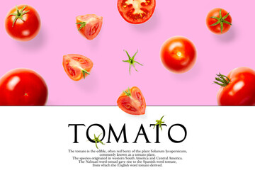 Creative layout made of tomato on the pink background. Creative flat lay set of tomatoes with simple text on white background, copy space.