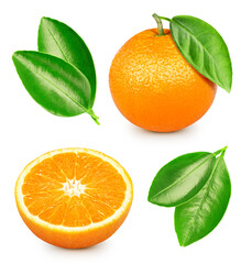 Set of orange fruits and orange half. Collection orange isolated on a white background. Clipping path. Orange macro studio photo