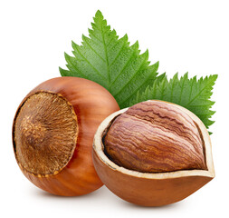 Hazelnuts isolated on white background. Hazelnuts filbert fruit clipping path. Hazelnuts half macro...