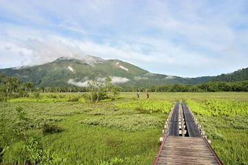 尾瀬ヶ原のハイキングルート