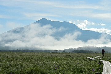 初夏の草原風景