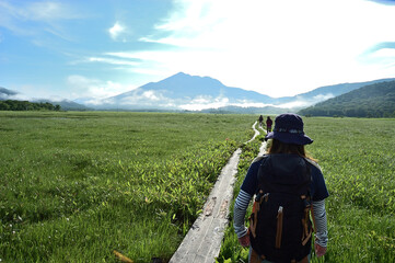 初夏の森の中でのハイキングする女性