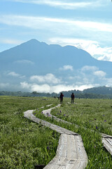 湿原のハイキング道