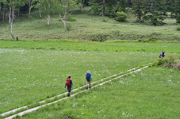 初夏の草原でハイキングする人々