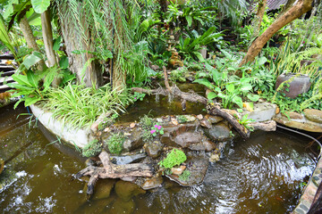 Water stream or Small waterfall decorate front yard - nature garden with plant tree flowers in the asian with a pond park