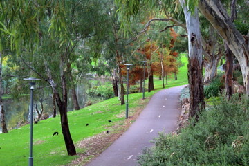 linear park trail in adelaide