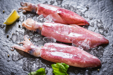 Raw squid on ice with lemon on the dark plate seafood market - fresh squids octopus or cuttlefish for cooked food salad restaurant