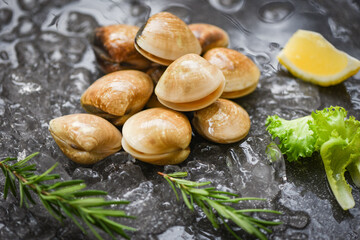 Seafood shellfish on ice frozen at the restaurant - Fresh shell clam with herb ingredients for salad , enamel venus shell , saltwater clams