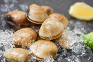 Seafood shellfish on ice frozen at the restaurant - Fresh shell clam with herb ingredients for...