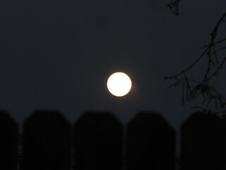 Lunar Fence