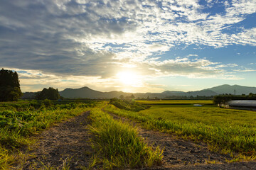 Obraz premium 秋の田園風景 秋田県仙北市
