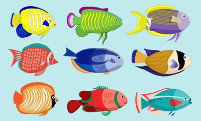 Nine cute fish characters. Fish cartoon assets for learning and children's products. Vector based design