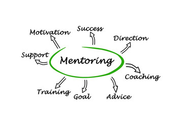 Eight functions of mentoring