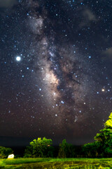 本州最南端の天の川