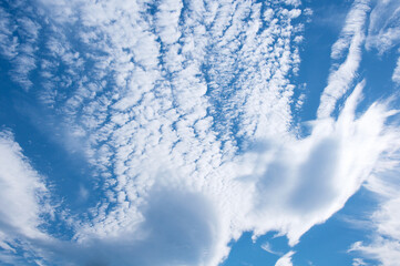 ウロコ雲と羽の形の雲