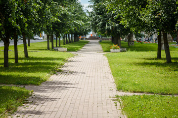 Alley in the city square - green trees and benches.