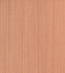 Brown color wood wall material burr surface texture background Pattern Abstract wooden, top view