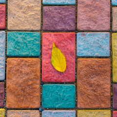 Yellow leaf close-up, on colorful paving stone bricks. Autumn composition concept. Square aspect...