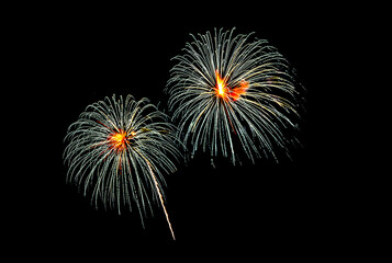Fototapeta premium Colorful fireworks exploding against a black background