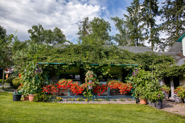 Beautiful summer garden with conifer trees, green grass and evening sun. Cut grass, Professional luxury gardening concept.Pergola with red Begonia boliviensis and petunia sufinia flowers