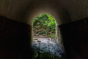 Obraz premium 猿島の自然