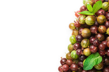 Gooseberry isolated on white background. Top view.
